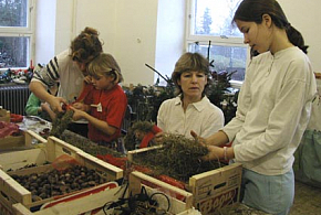 Víkendy pro matky a dcery