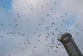 Žehnání pivovaru Rambousek