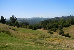 Putování do Santiaga de Compostely