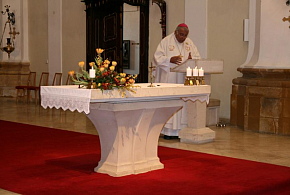 Kardinál Duka zahájil setkání animátorů seniorů