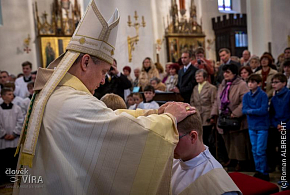 Kněžské svěcení v Hradci Králové