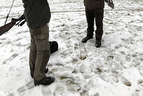 Hon v diecézních lesích