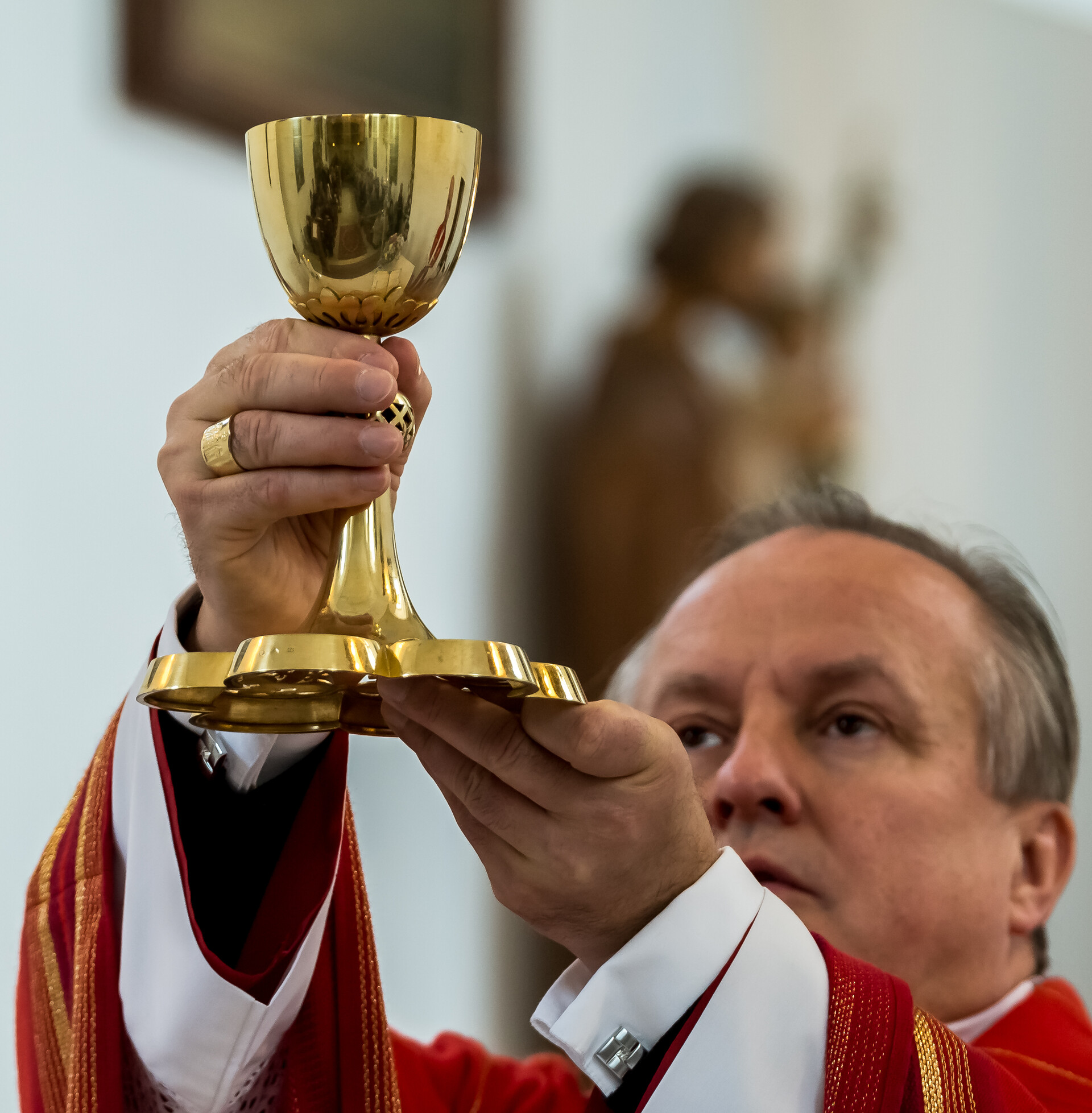 Den boje za svobodu a demokracii